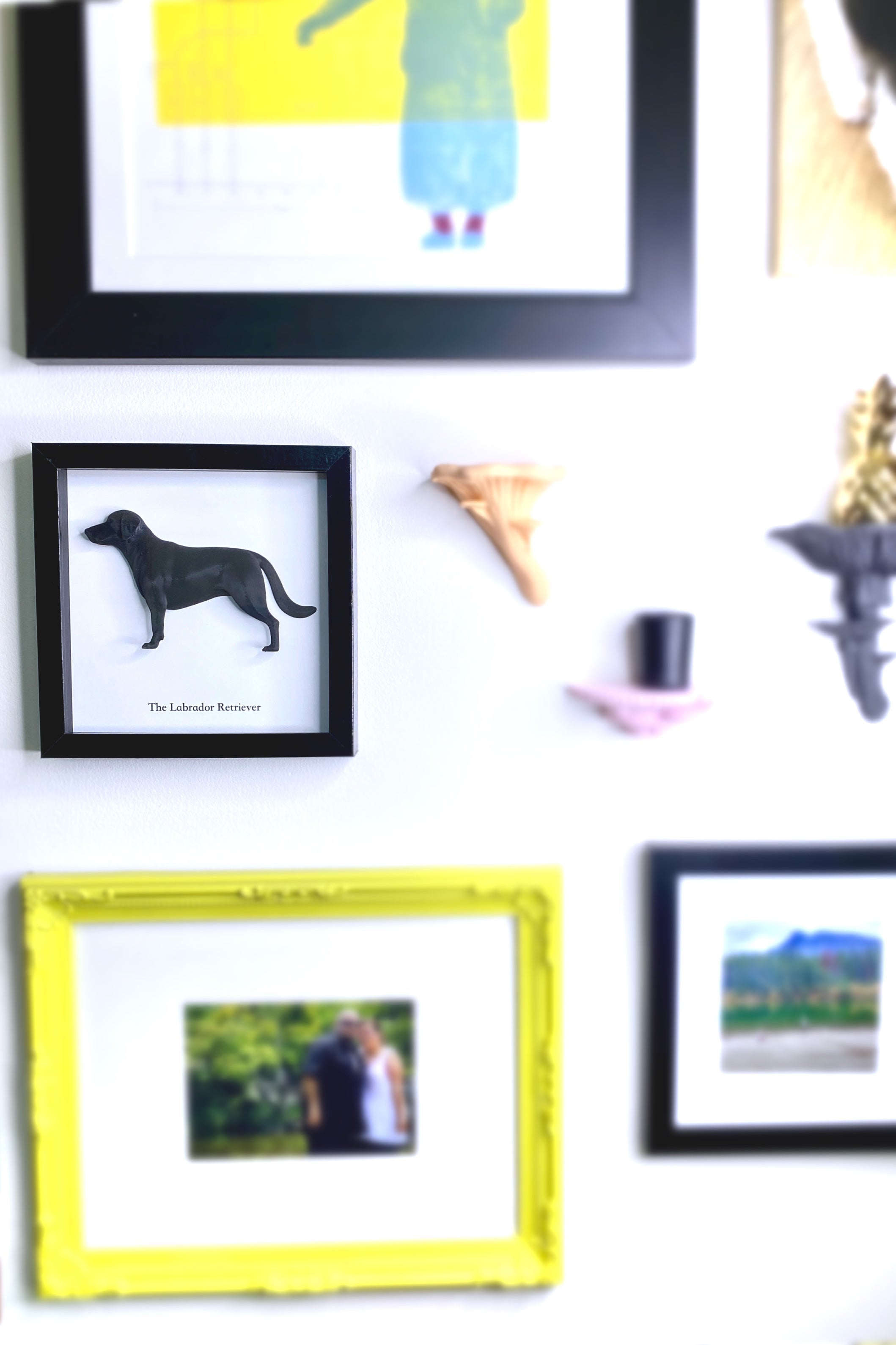 Dog gallery wall top