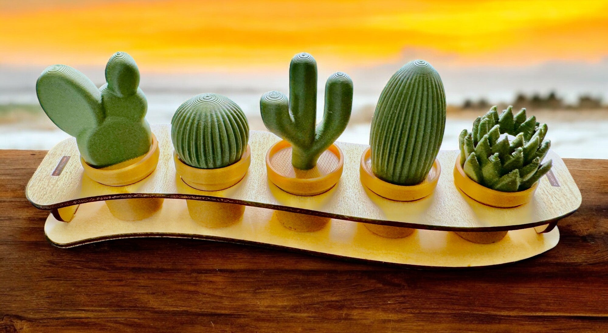 Cactus jewelry holder sale